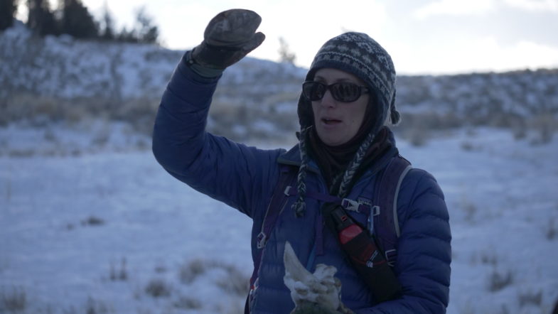 Virginia Miller holds up a bison vertebrae from an old kill site. Photo credit: Erika Share