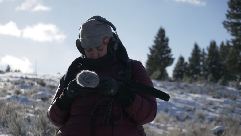 Although many people we spoke with noted that the winter of 2018 was mild in Yellowstone, the batteries in our recorder disagreed. Photo credit: Erika Share